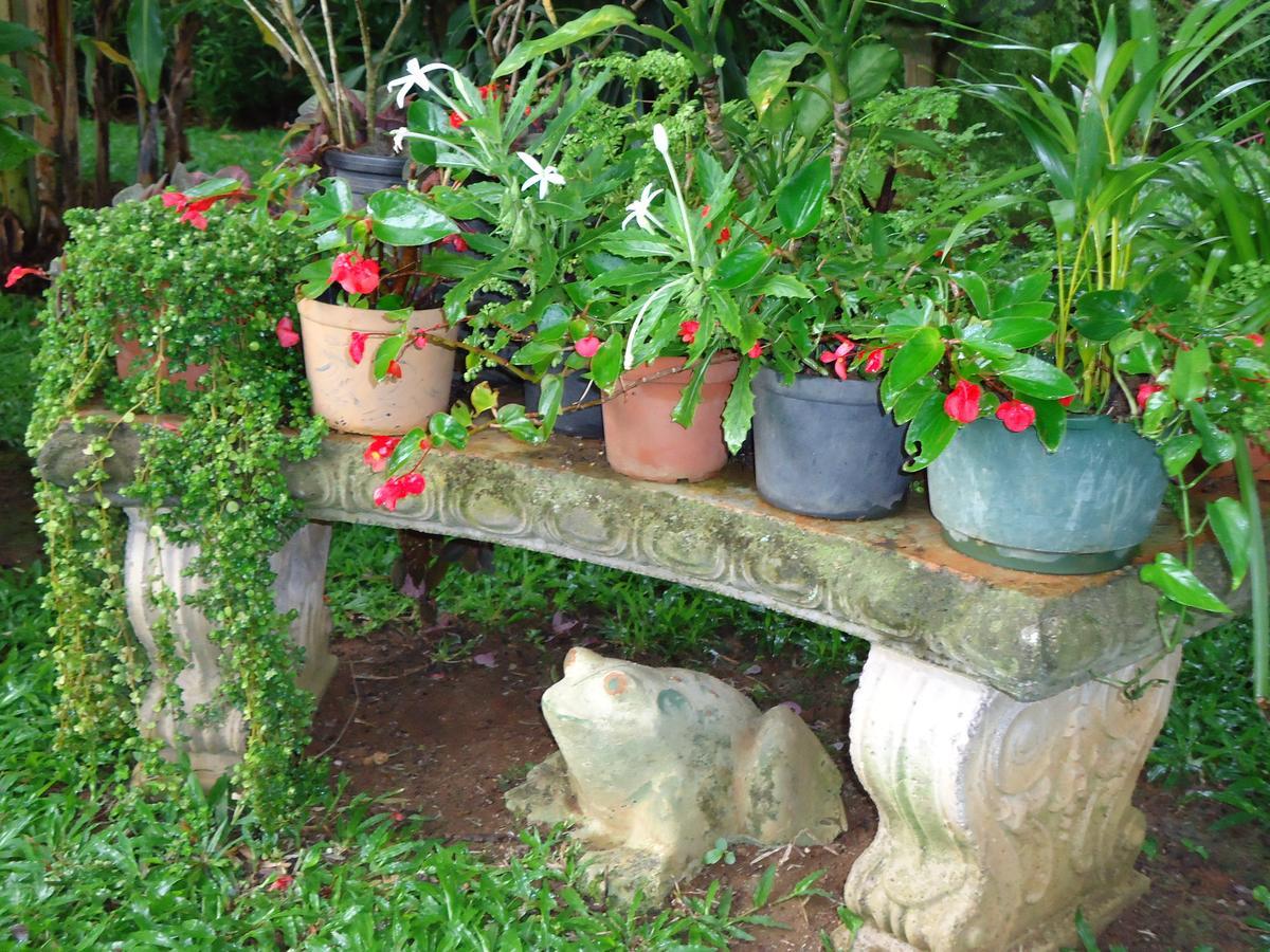 Quinta Don Fernando Bed and Breakfast La Garita  Εξωτερικό φωτογραφία